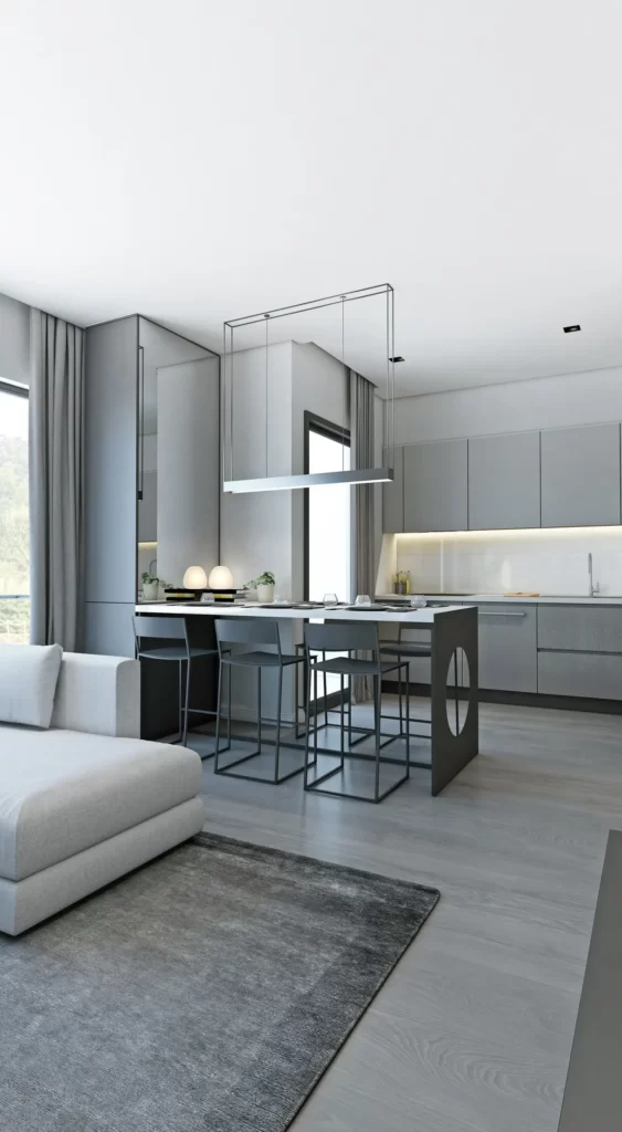 1+1 Salon+ Mutfak dia centro0004 copy 2